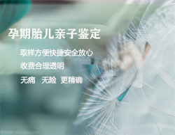 石家庄怀孕怎么做亲子鉴定，石家庄胎儿DNA鉴定具体的流程